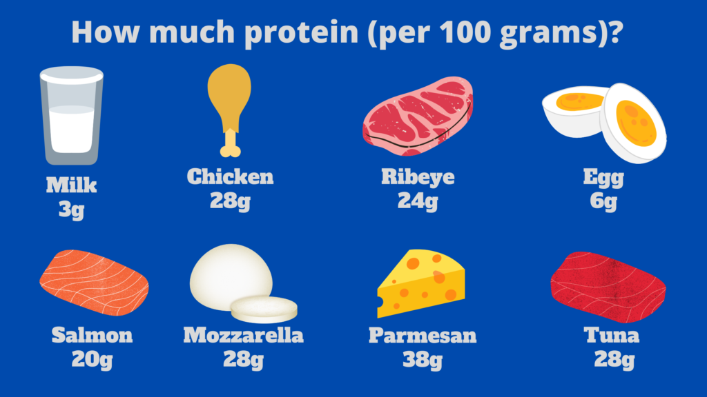 How much protein?