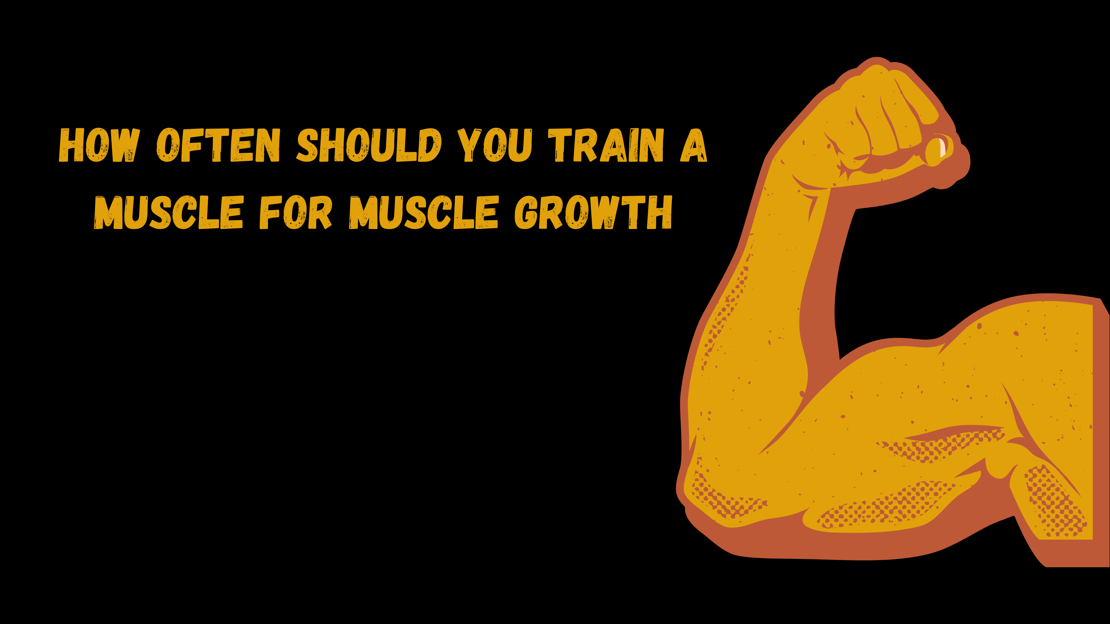 How often should you train a muscle for muscle growth